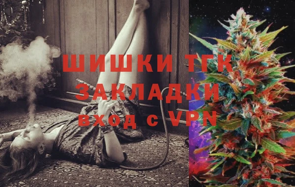 твердый Арсеньев